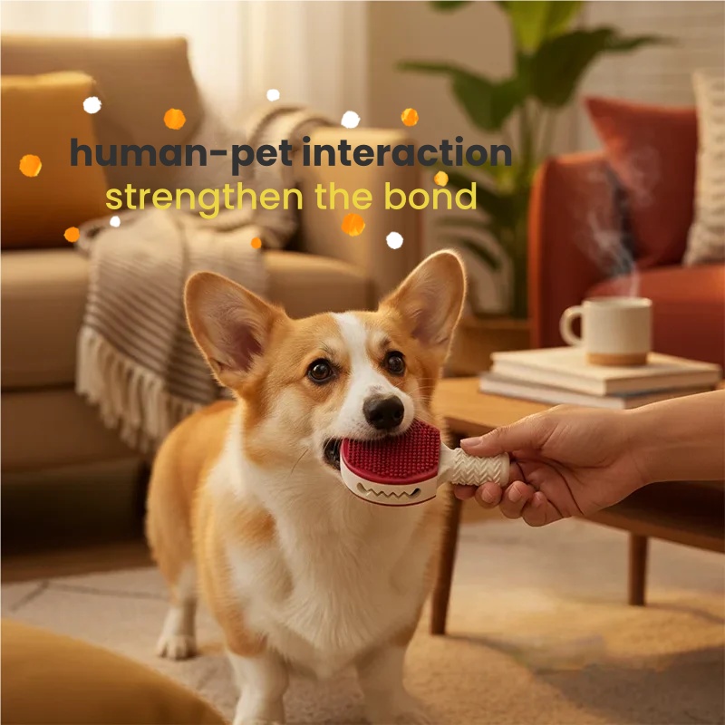 バドミントン型ゴム製犬用噛むおもちゃ、丈夫で噛みつきにくい臼 - Badminton Xxl のレビューと価格