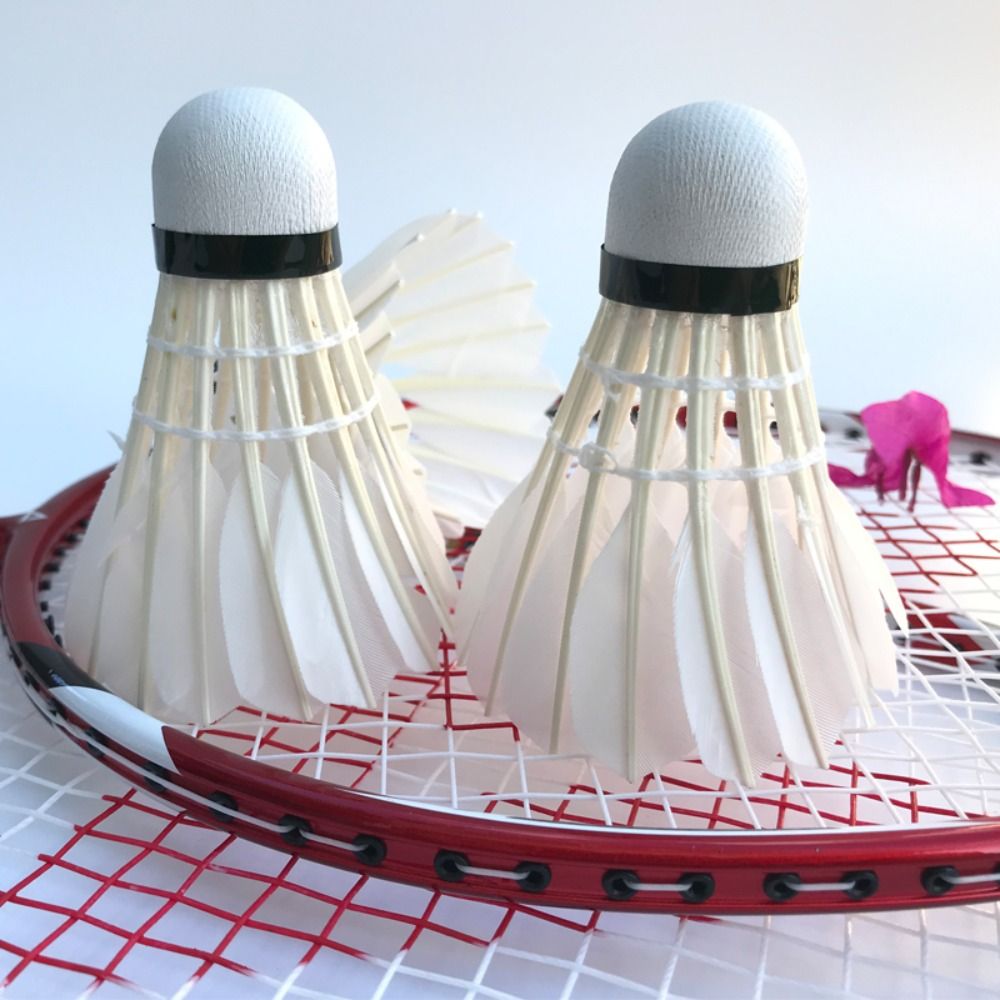 3/6/12 個プロフェッショナルバドミントン羽根黒ガチョウ - Badminton Nylon Shuttlecock のレビューと価格